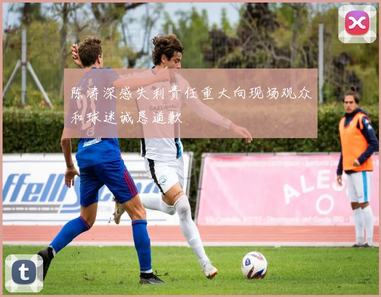 陈涛深感失利责任重大向现场观众和球迷诚恳道歉