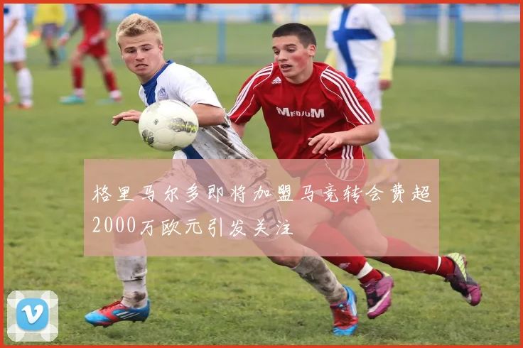 格里马尔多即将加盟马竞转会费超2000万欧元引发关注